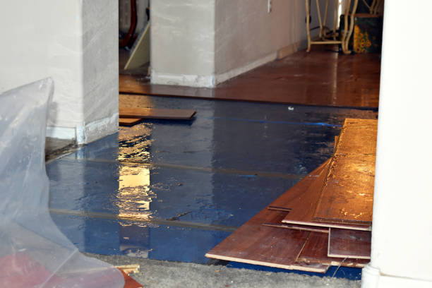 Professional Basement Flood Cleanup technician working in Larkspur, CO